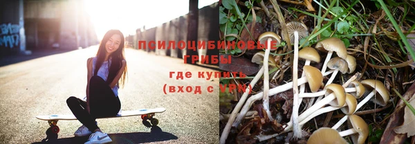 бошки Армянск