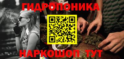 сатива Кандалакша