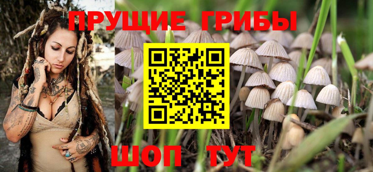 Галлюциногенные грибы прущие грибы Лениногорск