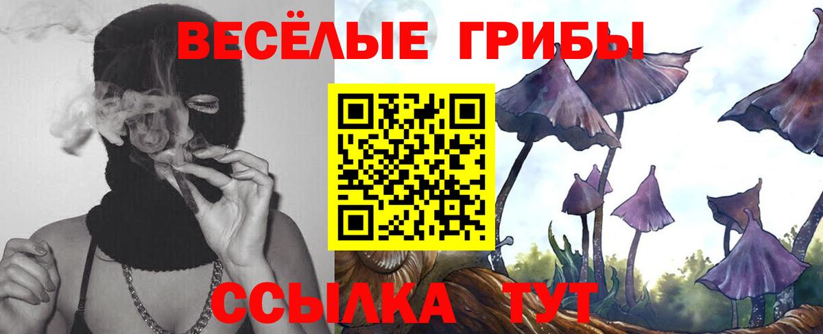 Галлюциногенные грибы мицелий  Вход с VPN  Лениногорск 